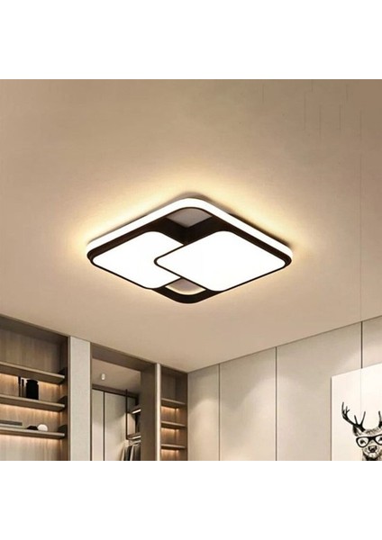 Arteluz Modern Şık Plafonyer LED Avize Tavan Model 3 Renk Avize Salon LED Lambası Kumandalı (Yurt Dışından)