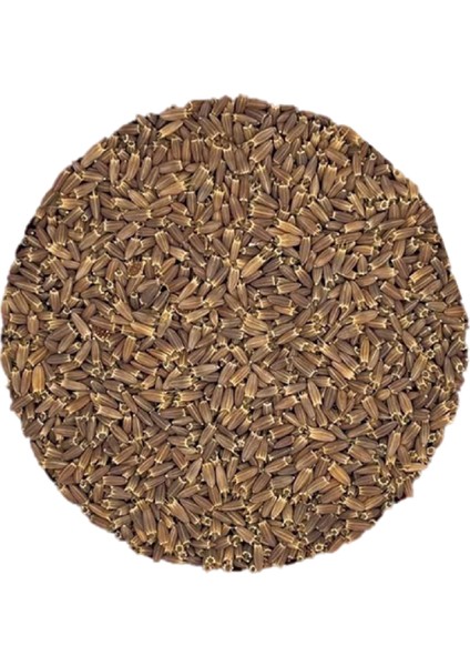 Pelemir Tohumu 1 kg