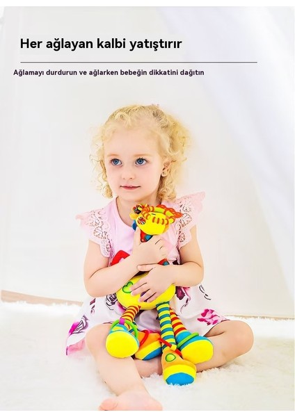 Bebek Araba Yatak Oyuncağı (Yurt Dışından)