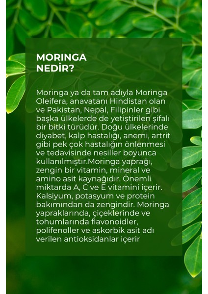 Welıve 4in1 Arada Kahve/ Reishi Mantarı ve Moringa 20 Ad