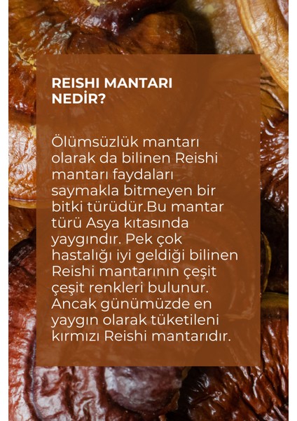 Welıve 4in1 Arada Kahve/ Reishi Mantarı ve Moringa 20 Ad