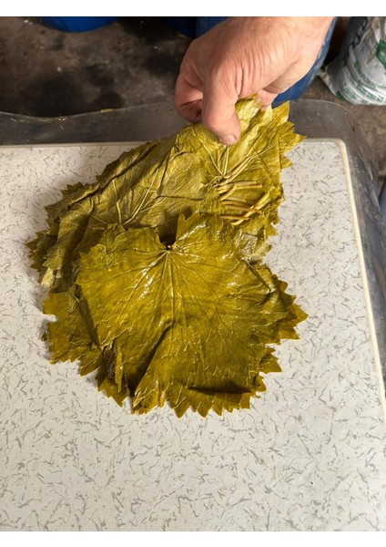 Meşhur Tokat Salamura Yaprak 5 kg