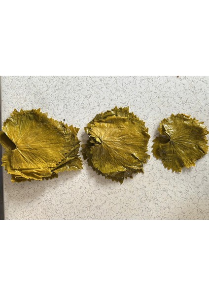 Meşhur Tokat Salamura Yaprak 5 kg