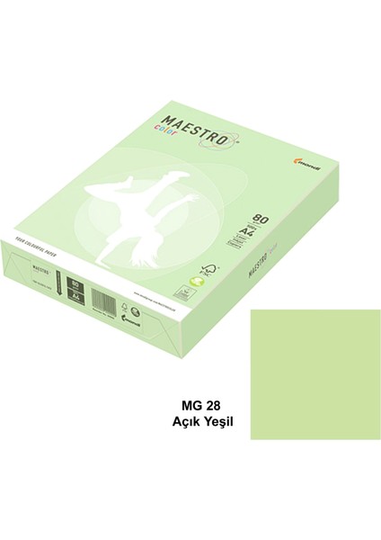 Color A4 Renkli Fotokopi Kağıdı 80 gr Açık Yeşil 1 Koli 5 Paket