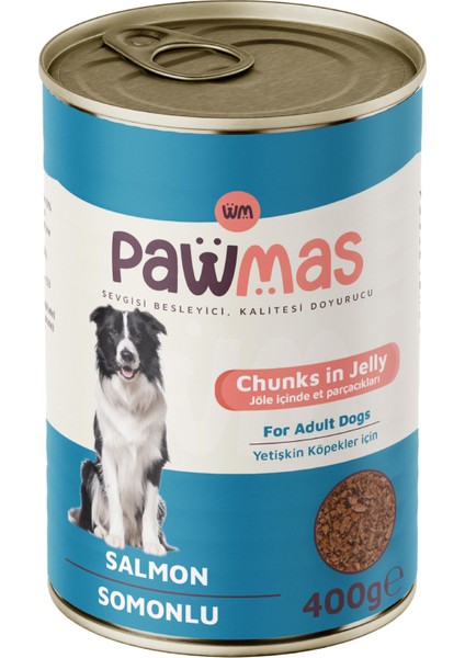 Somonlu Yetişkin Köpek Konservesi 400 gr