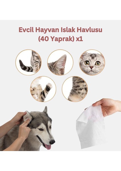 Evcil Hayvan Bakım Seti: Evcil Hayvan Islak Havlusu +Tüyü Temizleme Rulosu + Kedi Köpek Mama Kabı