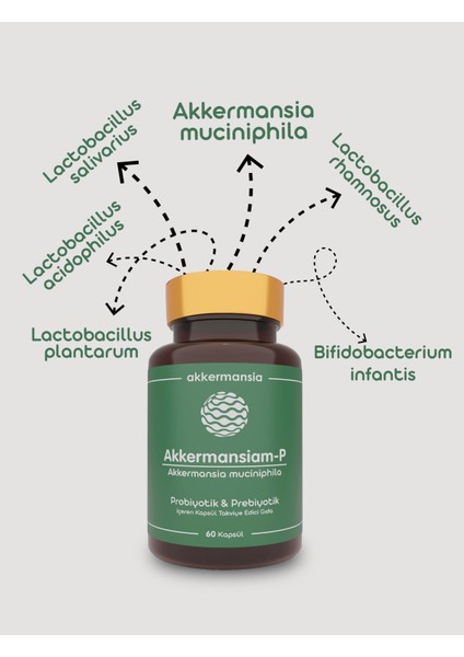 Doğadan Bizim Akkermansiam-P Probiyotik&prebiyotik 60 Kapsül