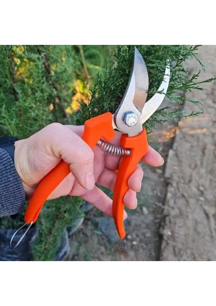 Crafter Budama Makası