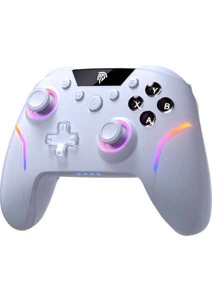 X20 - Kablosuz Gamepad - Hall Effect Stick - Rgb - 1000Hz - 6-Axis Gyro - Pc/switch/steam Uyumlu