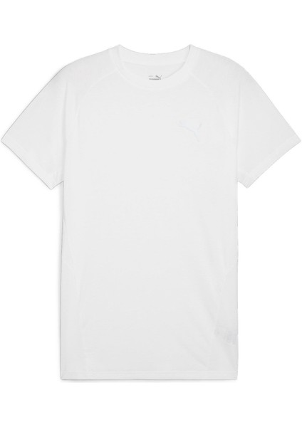 Evostripe Tee Erkek T-Shirt