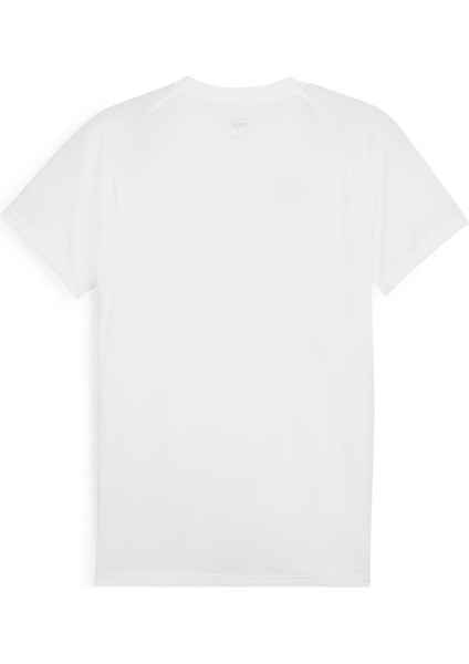 Evostripe Tee Erkek T-Shirt