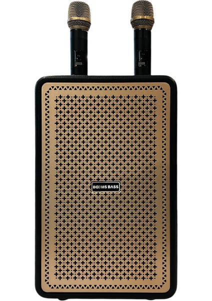 M4203+ Karaoke Box Kablosuz Hoparlör - Speaker fiyatları