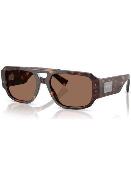 Dolce Gabbana Dg 4482 50273 57 Erkek Pilot Kırçıllı Kahverengi Kemik Güneş Gözlüğü
