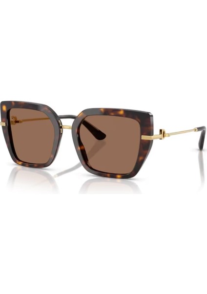 Dolce Gabbana Dg 4474 50273 53 Kadın Kelebek Kırçıllı Kahverengi Kemik Güneş Gözlüğü