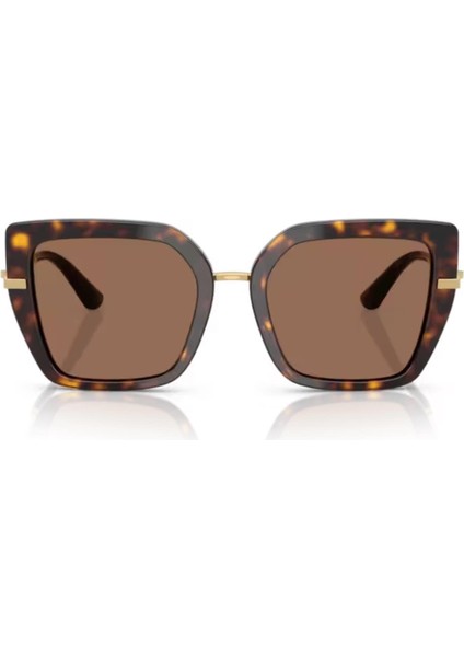 Dolce Gabbana Dg 4474 50273 53 Kadın Kelebek Kırçıllı Kahverengi Kemik Güneş Gözlüğü fiyatları