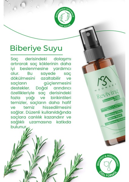 Biberiye Suyu Özlü Saç Toniği - Doğal Vegan İçerik, Saç köklerini güçlendiren Bitkisel Bakım, Tüm Saç Tipleri İçin Uygun 150 ml