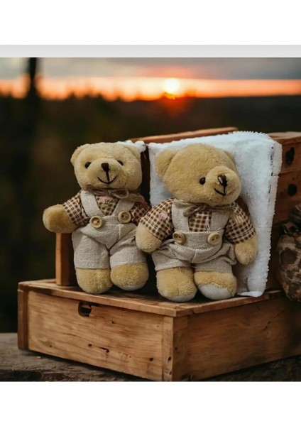 Çift Peluş Ayıcıklı Anahtarlık Sevimli Kız Erkek Oyuncak Ayıcık modelleri