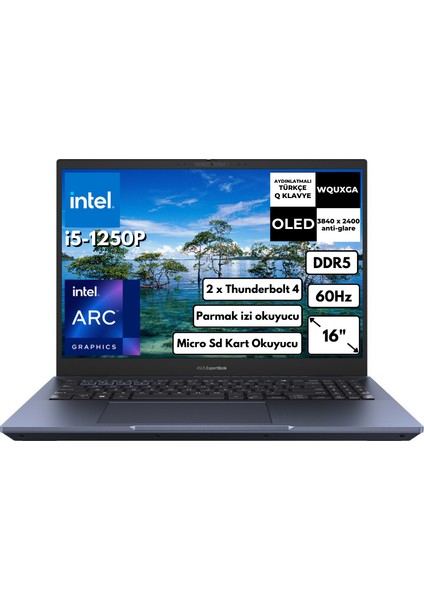 Expertbook B5 I5-1250P 40-Gbddr5 512 GB SSD Arc A350M (4 Gb) 16" OLED Wquxga Freedos Notebook B5602CBN-L20164 Bt8