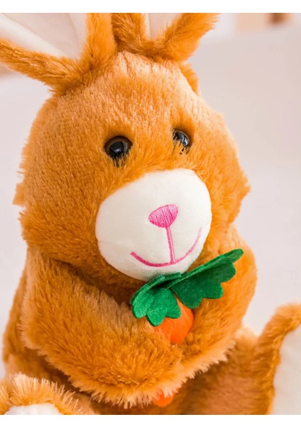 Lcw Home Nakışlı Dolgulu Bebek Kırlent 35 cm indirimleri