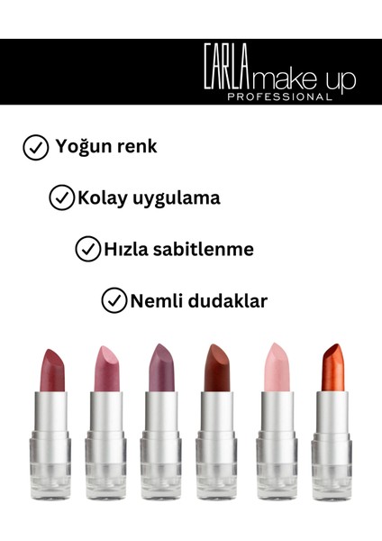 Lipstick - Ruj Mürdüm 4 gr - No: 159