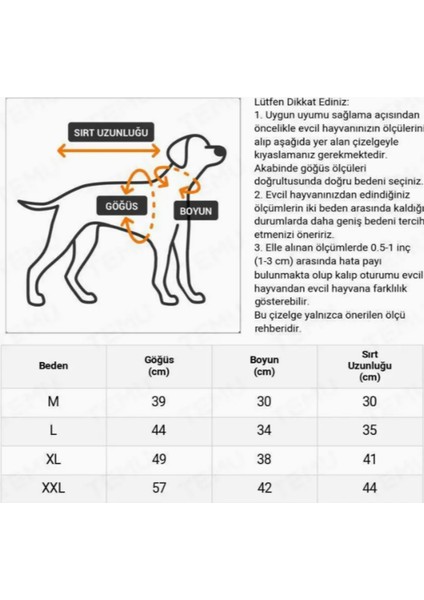 Retro Ingiliz Tarzı Köpek Yağmurluğu