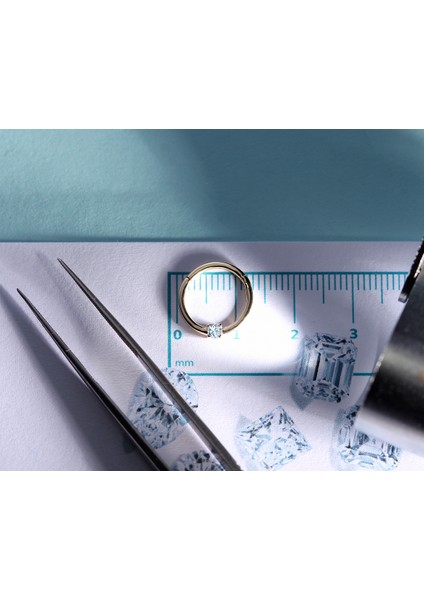 Prenses Pırlantalı Halka Piercing, 10-12 mm , 1.2 Mm, 14K Sarı-Beyaz-Kırmızı Altın | LC00034D