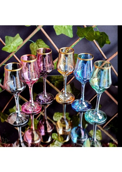 Seçkinev 6 Renkli Grappa Kadeh