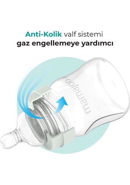 Gece & Gündüz Anti-Kolik Biberon 270 ml, 6 Ay+, Orta Akışlı