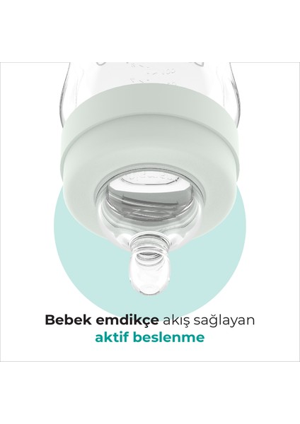 Gece & Gündüz Anti-Kolik Biberon 270 ml, 6 Ay+, Orta Akışlı