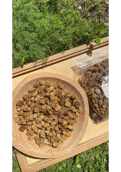 Dut Kurusu 250 gr fiyatları