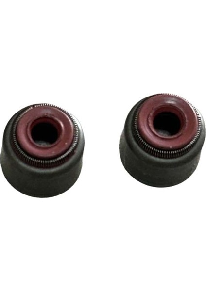 Bajaj Pulsar NS125 Subap Yağ Keçesi Lastiği 2'li