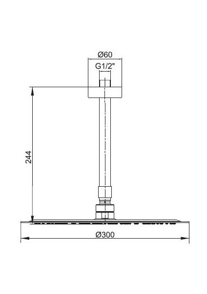 İnce Yuvarlak Tepe Duş Başlığı Tavandan Borulu (Ø 300 mm) 102145057