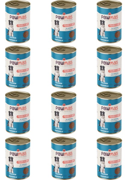 Somonlu Yetişkin Köpek Konservesi 400 gr x 12 Adet