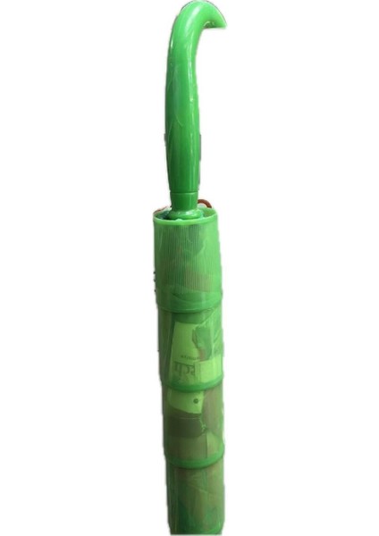 Yeşil-Pembe Kız Şemsiye modelleri