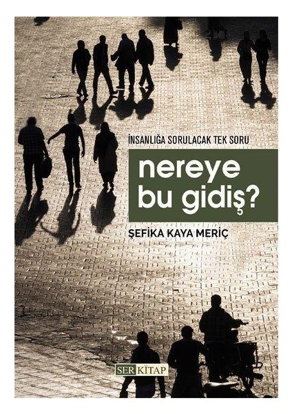 Nereye Bu Gidiş? - Şefika Kaya Meriç fiyatları