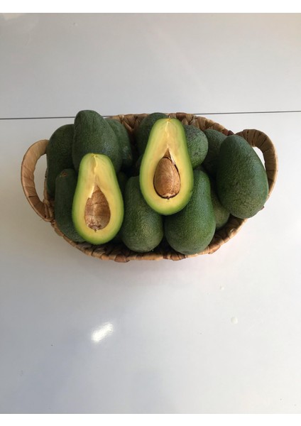 Avokado