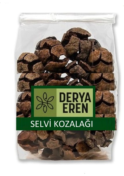 Selvi (Servi) Kozalağı 1 kg
