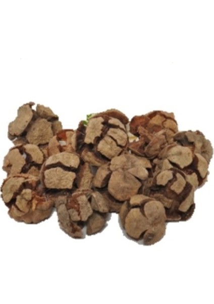 Selvi (Servi) Kozalağı 100 gr