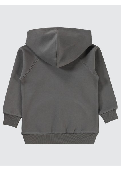 Erkek Çocuk Sweatshirt 2-5 Yaş Antrasit modelleri