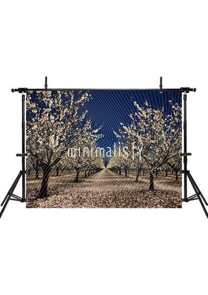 Büyüleyici Beyaz Çiçekler ve Gece Gökyüzü ile Arka Plan, 200X150CM, Stüdyo Fonu fiyatları