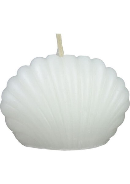 Mum Istiridye Beyaz 5,5x4 cm fiyatları