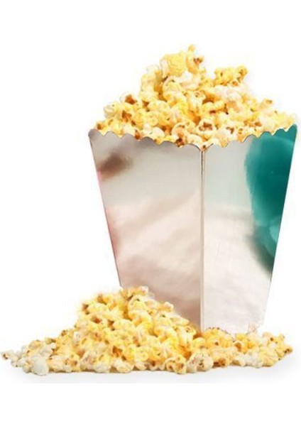 Mısır Cips Kutusu Düz Gümüş 8 Li