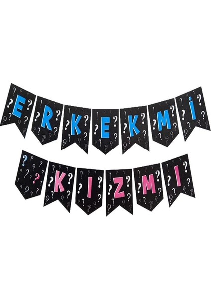Cinsiyet Belirleme Partisi Kız Mı Erkek Mi Boy Or Girl Zikzak Banner