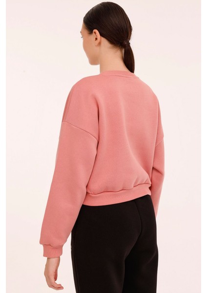 W-Leblanc C Neck Swt 4pr Pembe Kadın Sweatshirt 101924694