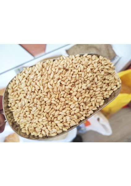 Aşurelik Beyaz Buğday (3 kg) fiyatları