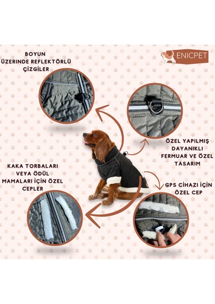 Premium Köpek Montu Su Geçirmez Ekstra Özellikli