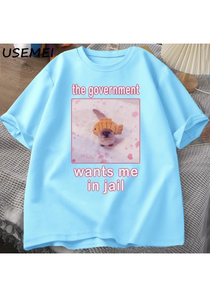 Hükümet Beni Hapishanede Istiyor Komik Kedi Meme T-Shirt Erkekler Için Kadın Aptal Kediler gr