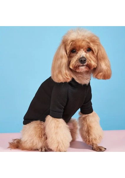 Baskılı Köpek ve Kedi Sweatshirt