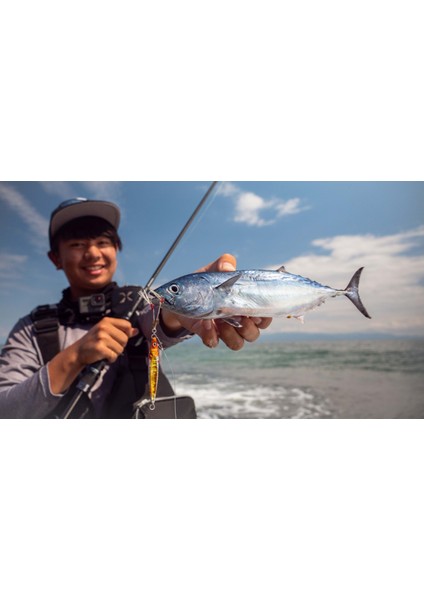 Big Backer Fit Jig 4.4cm 7gr Micro Jig Yemi