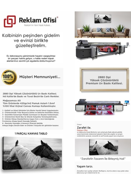 At Temalı, Siyah Beyaz Aşk Modern Premium Kanvas Tablo